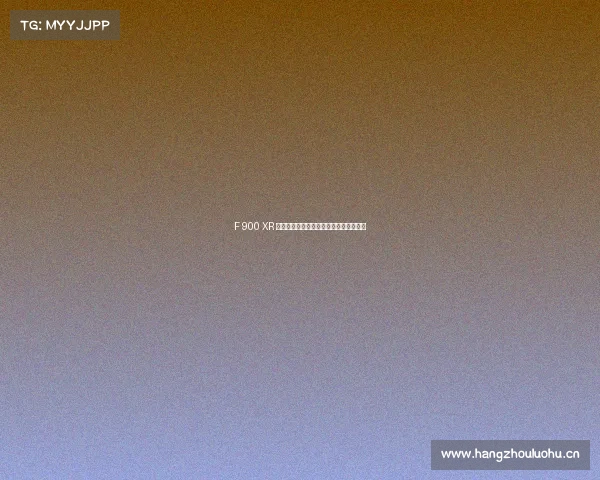 F 900 XR 是一款经济实惠的宝马摩托车，功能齐全